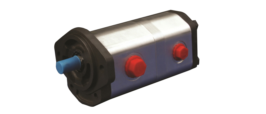 Double Gear Pump 