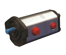 Double Gear Pump